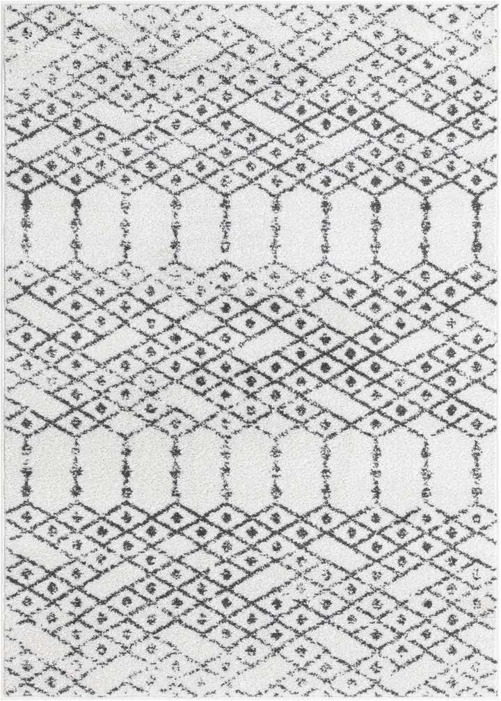 4' x 6' Paxon Trellis Rug