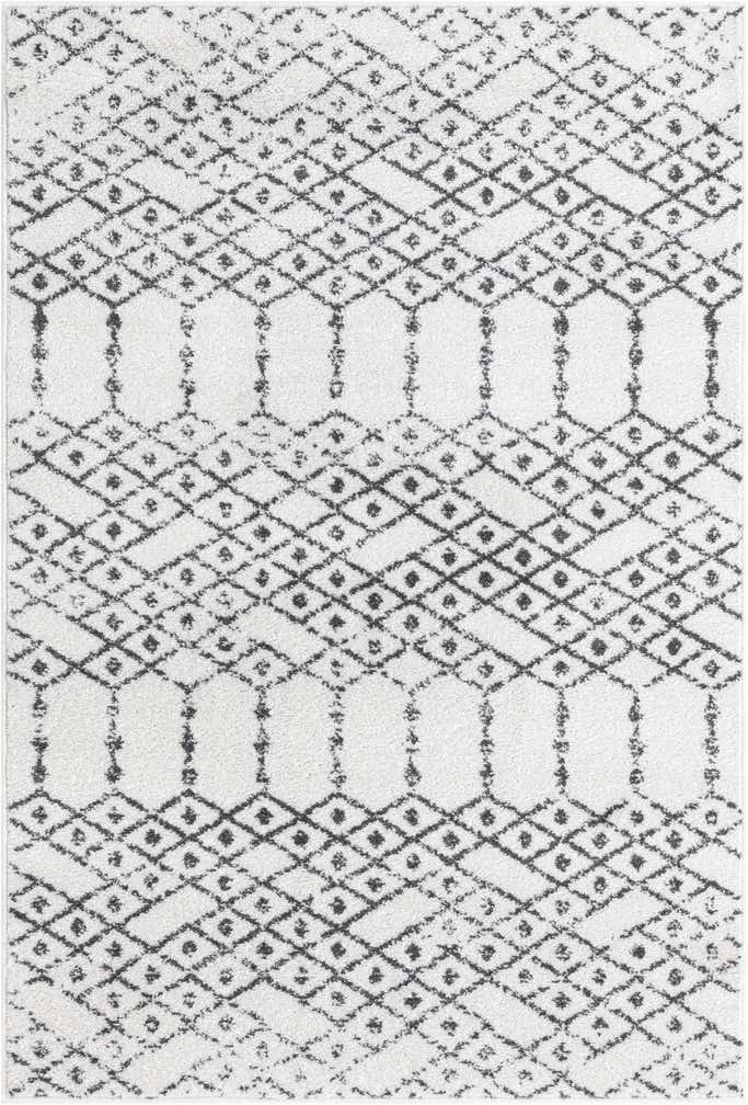 4' x 6' Paxon Trellis Rug