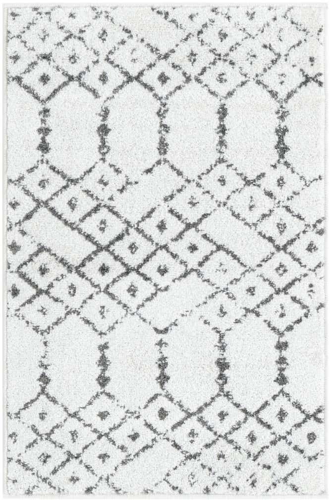 2' x 3' Paxon Trellis Rug