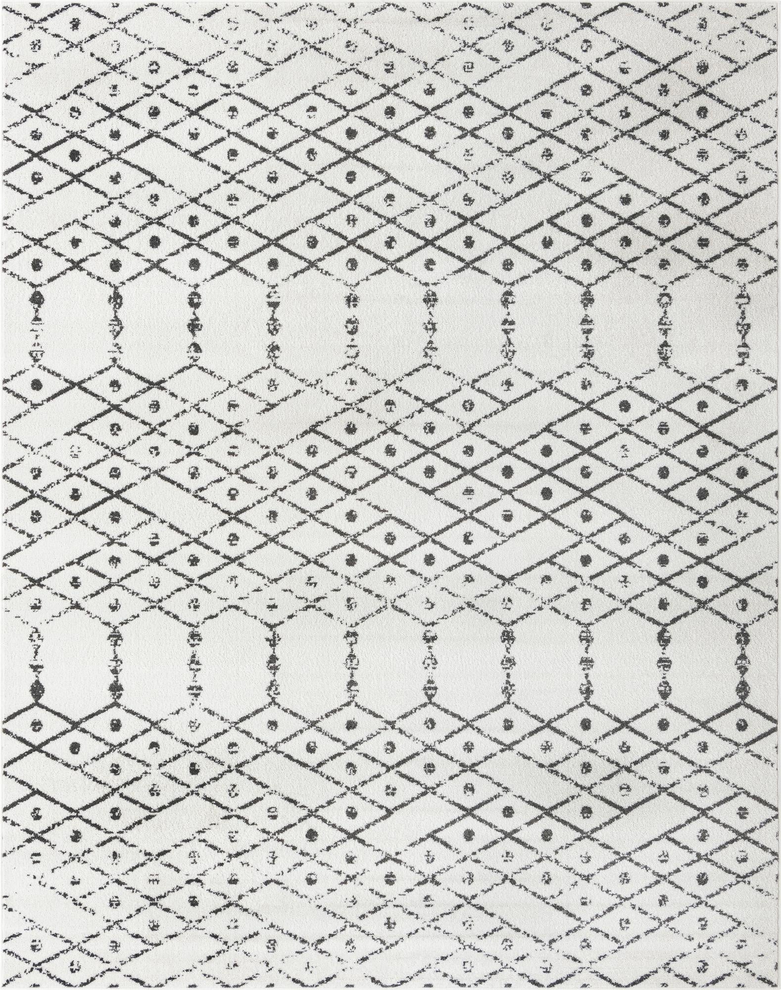 Primary image 10' x 13' Paxon Trellis Rug