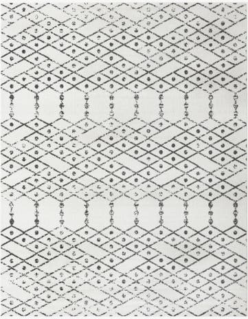 10' x 13' Paxon Trellis Rug
