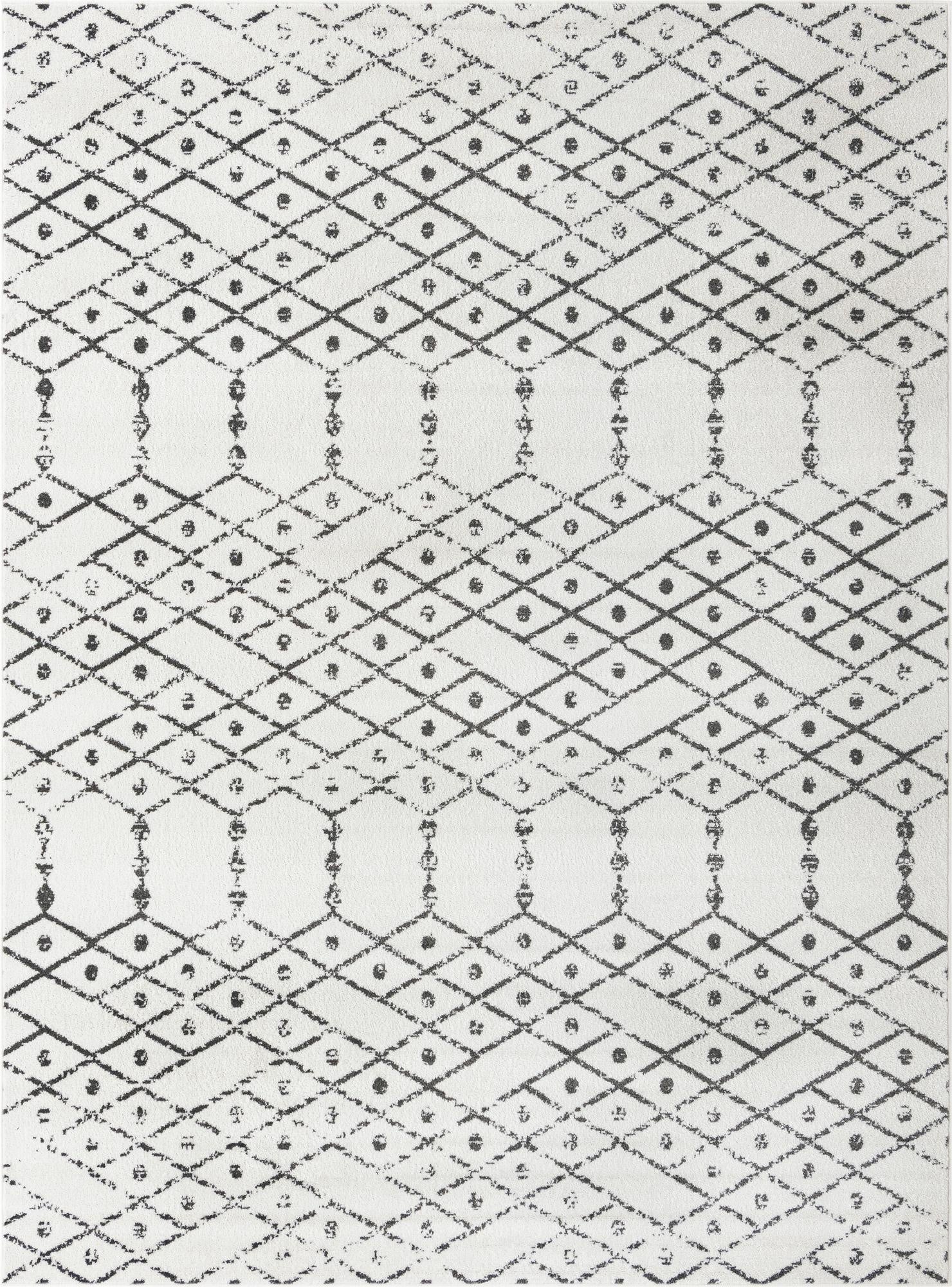 Primary image 10' x 14' Paxon Trellis Rug