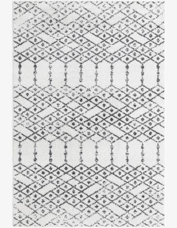 4' x 6' Paxon Trellis Rug