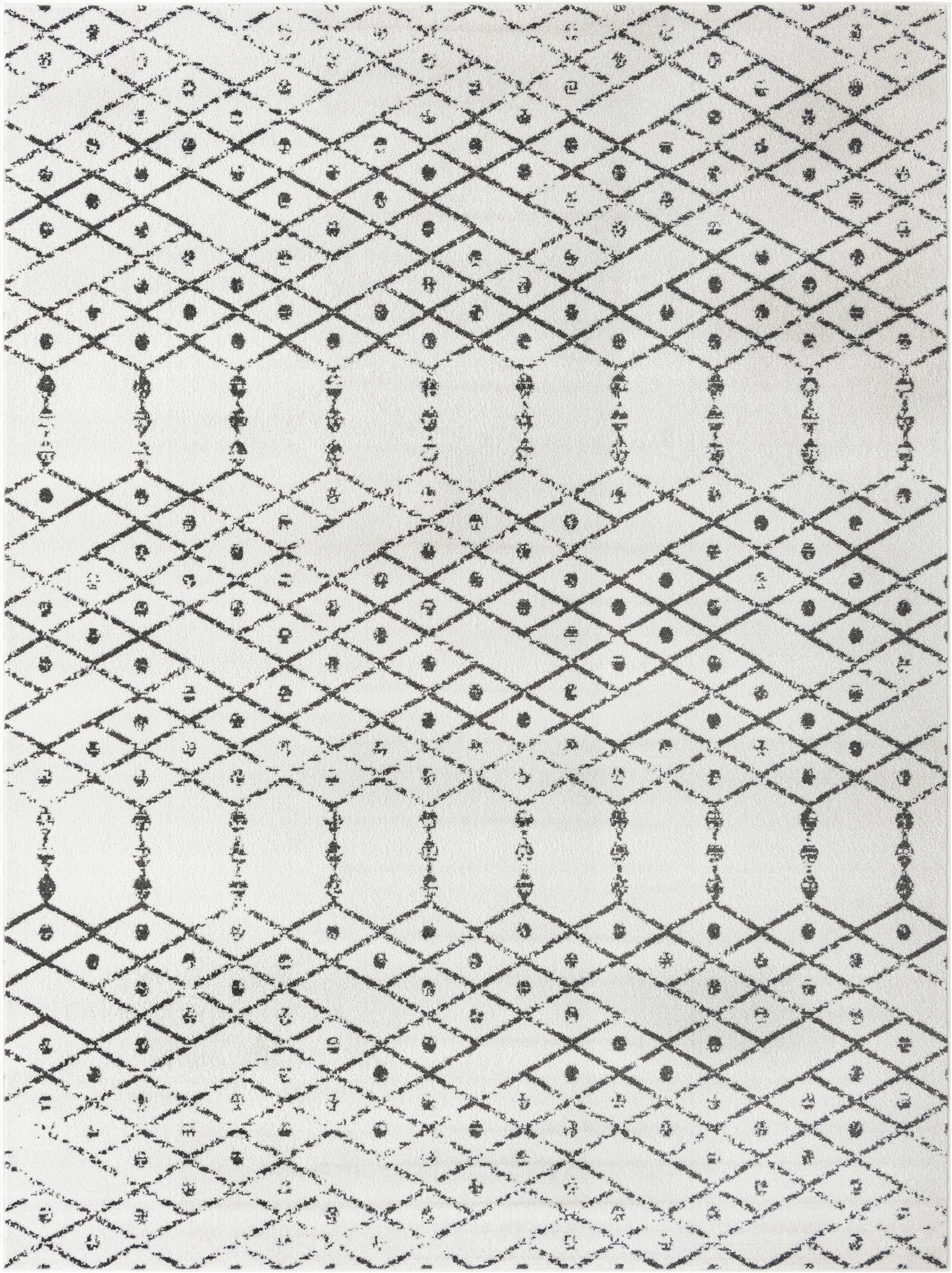 9' x 12' Paxon Trellis Rug