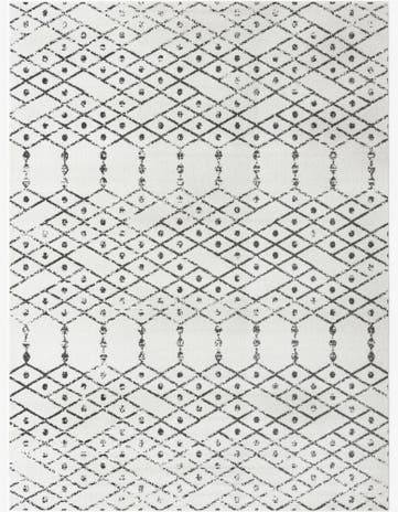 9' x 12' Paxon Trellis Rug