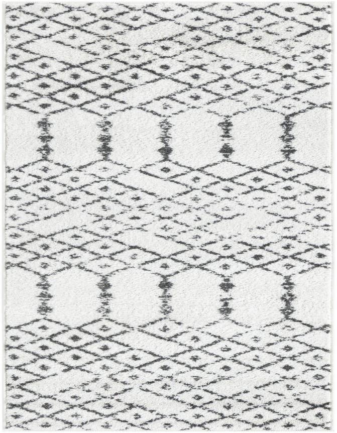 Detail image of 2' x 6' Paxon Trellis Runner Rug