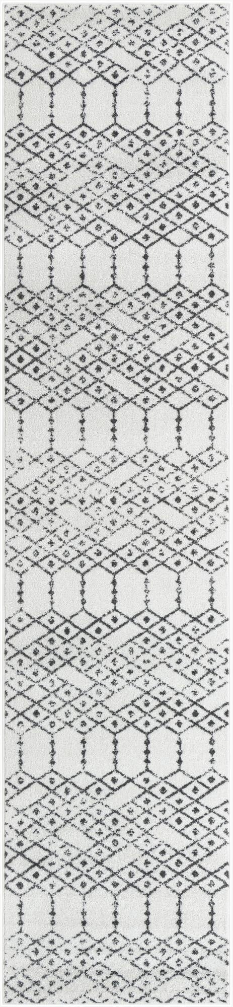 Primary image 3' x 13' Paxon Trellis Runner Rug