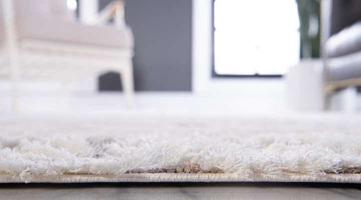 5' x 8' Botanical Shag Rug