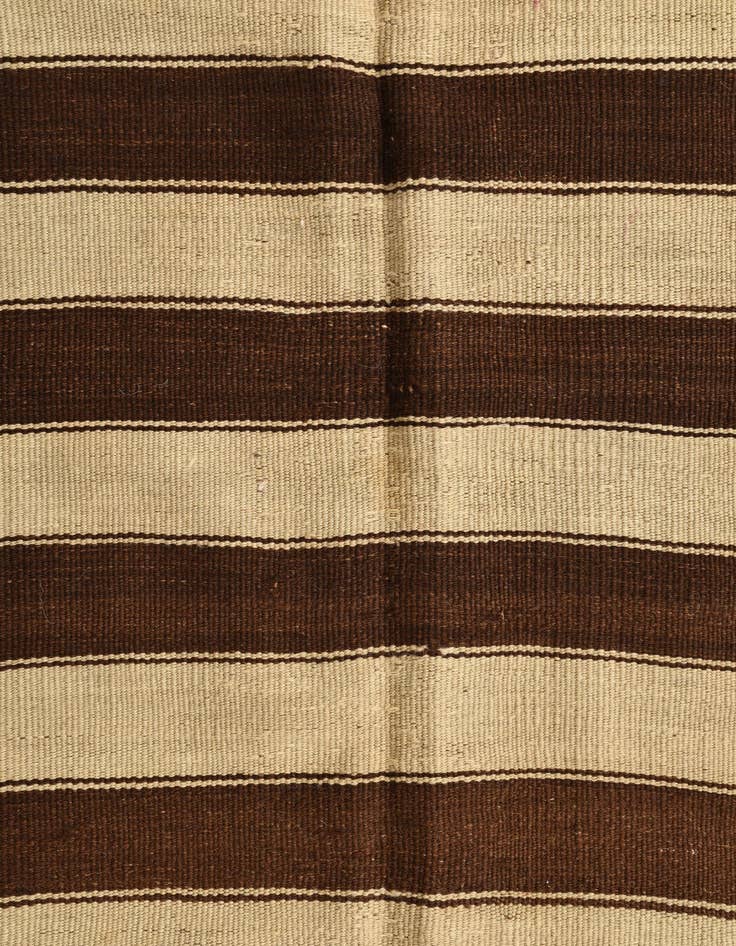 Detail image of 4' 9 x 9' 5  Hand Woven Kilim Fars Wool Rug