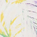 Color variant