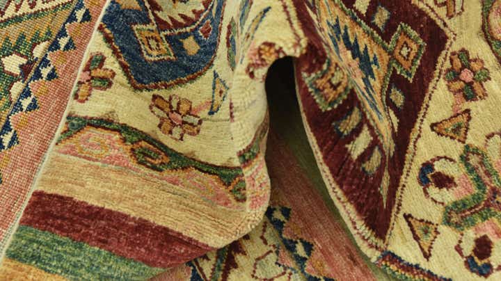 4' 1 x 5' 8 Hand Knotted Ariana Ziegler Rug