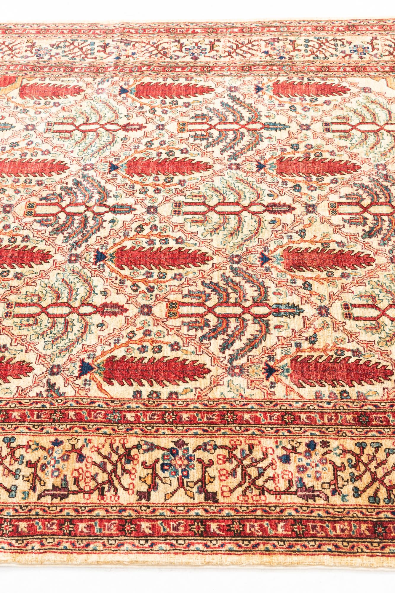 5' x 6' 6 Hand Knotted Ariana Ziegler Oriental Rug