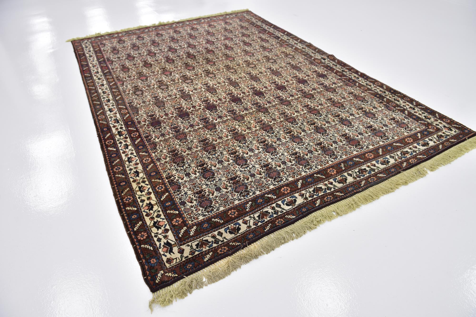 6' 8 x 9' 7 Hand Knotted Bidjar Persian Wool Rug