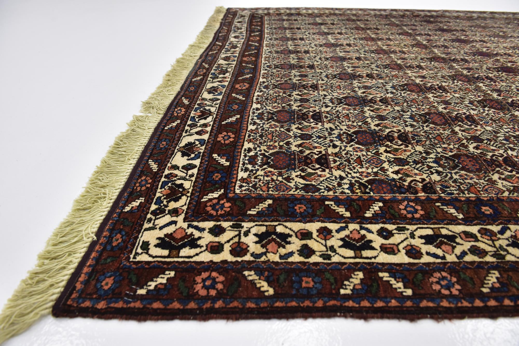 6' 8 x 9' 7 Hand Knotted Bidjar Persian Wool Rug