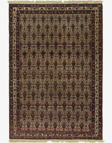 6' 8 x 9' 7 Hand Knotted Bidjar Persian Wool Rug