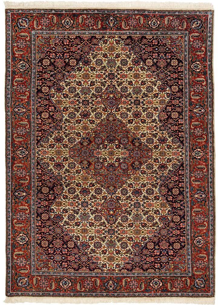 4' 3 x 6' 5 Hand Knotted Birjand Wool Rug