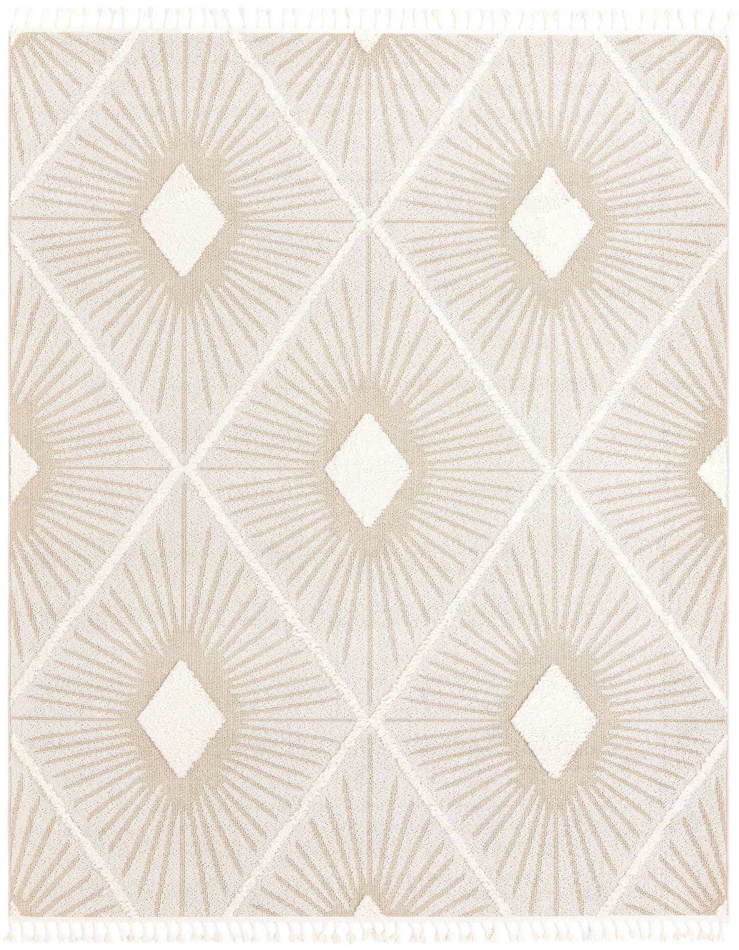 7' 10 x 10' Boho Rug