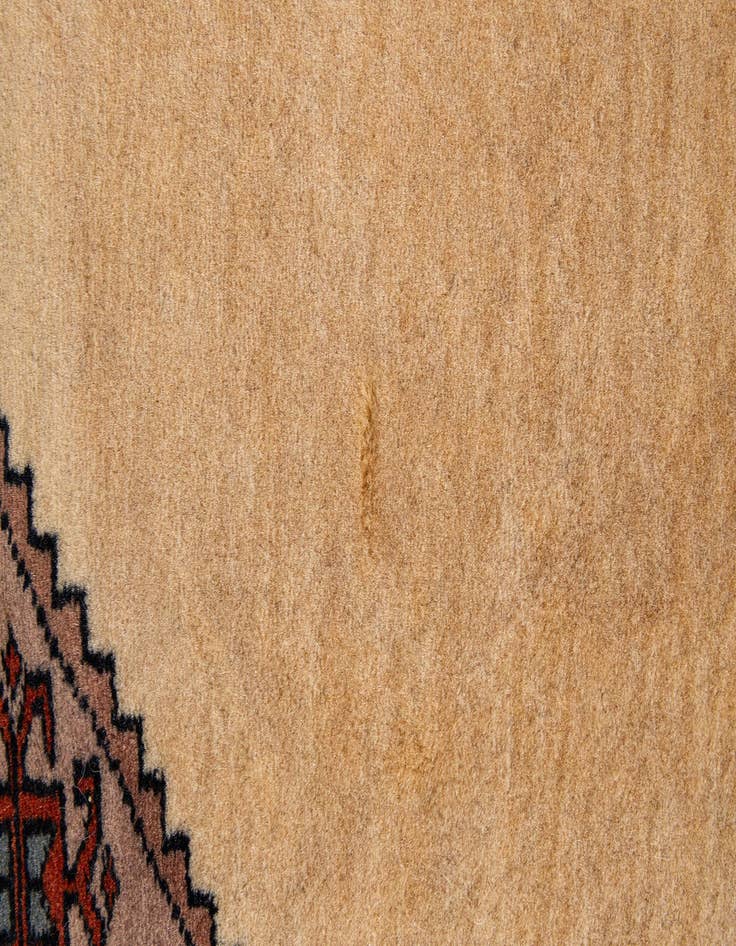 Detail image of 4' 3 x 5' 11  Hand Knotted Bokhara Wool Rug