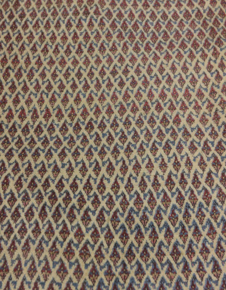 Detail image of 7' 4 x 10' 10 Hand Knotted Botemir Persian Wool Rug