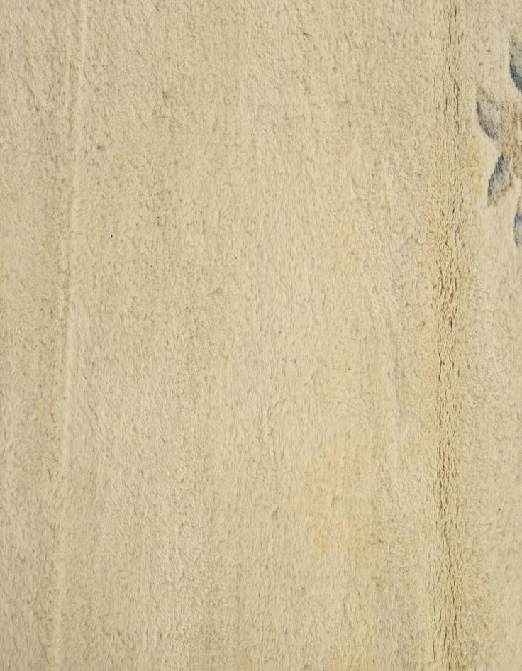 Detail image of 5' 7 x 7' 9  Hand Knotted Carved Pekin Wool Rug