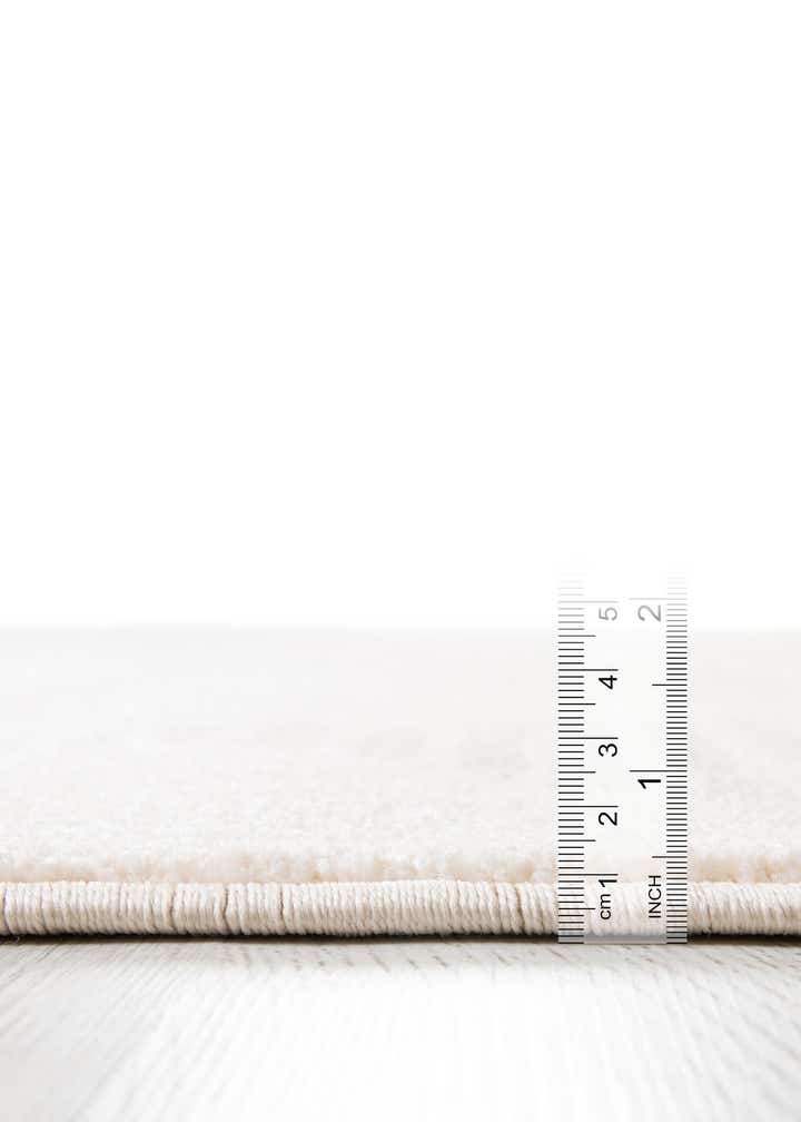 4' x 6' Contour Rug