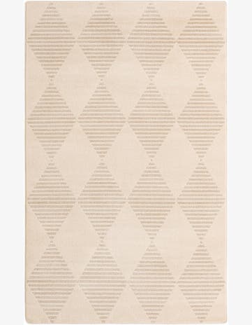 5' x 8' Contour Rug