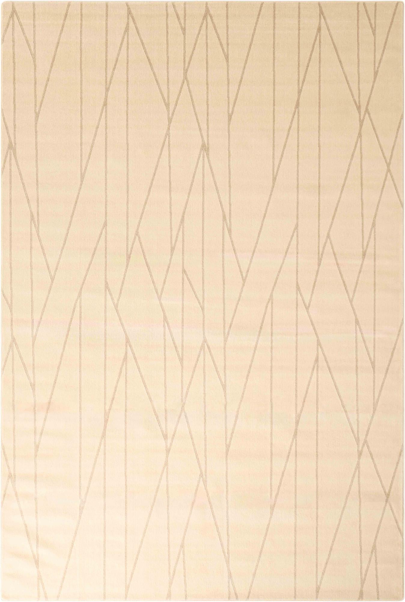 10' x 14' Contour Rug