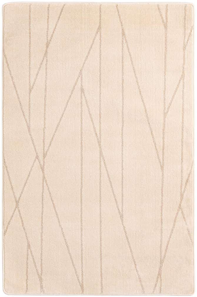 4' x 6' Contour Rug