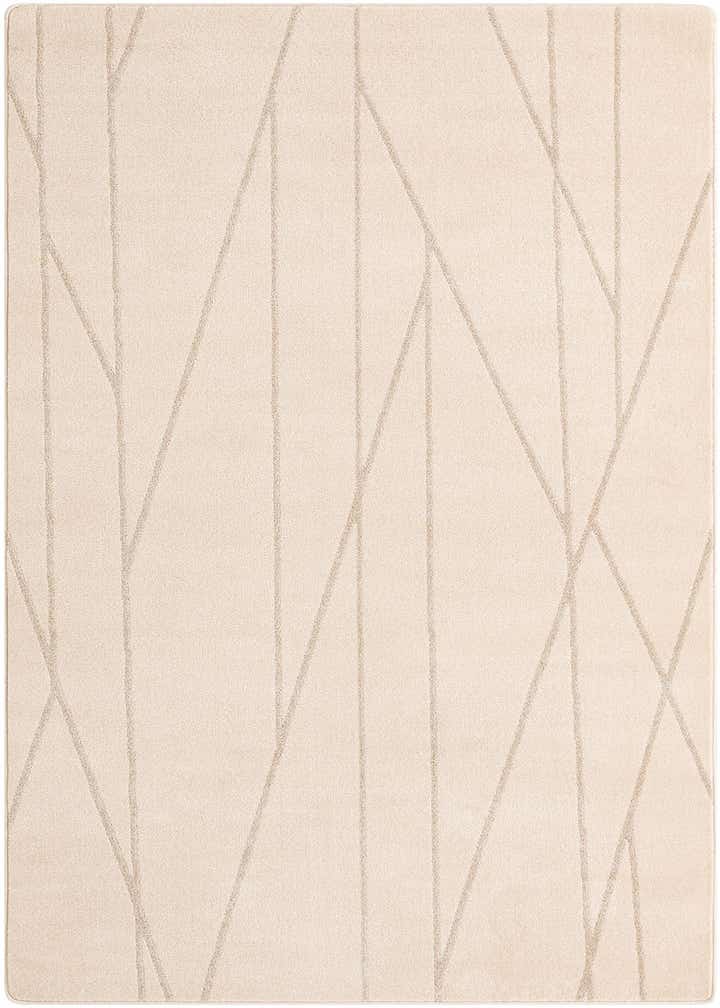 5' x 8' Contour Rug