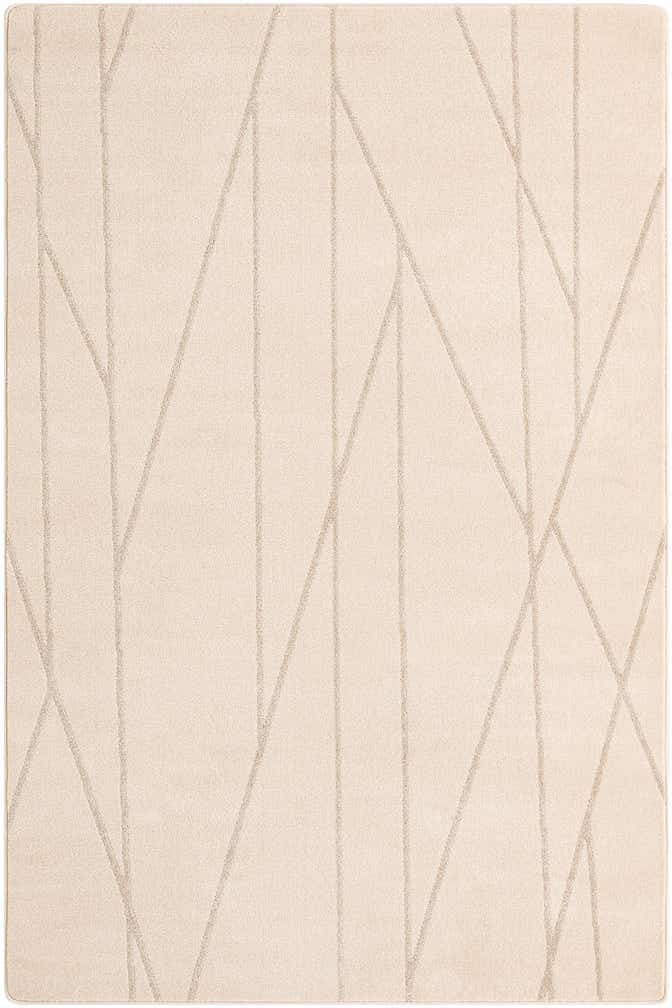 5' x 8' Contour Rug