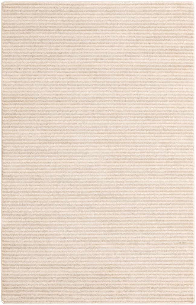 5' x 8' Contour Rug