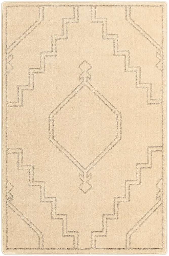 4' x 6' Contour Rug