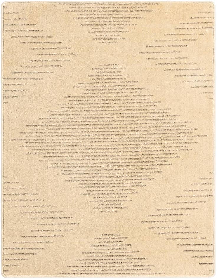 Detail image of 4' x 6' Contour Rug