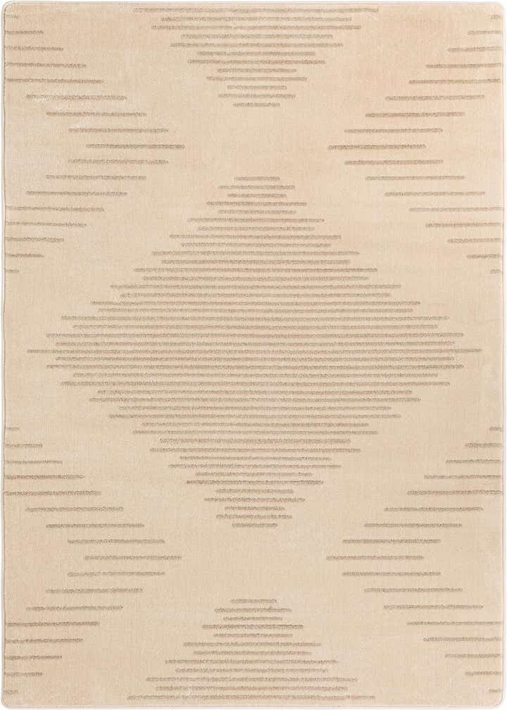 5' x 8' Contour Rug