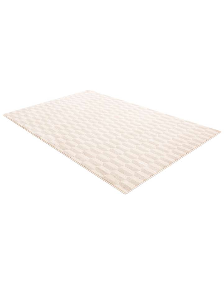 5' x 8' Contour Rug
