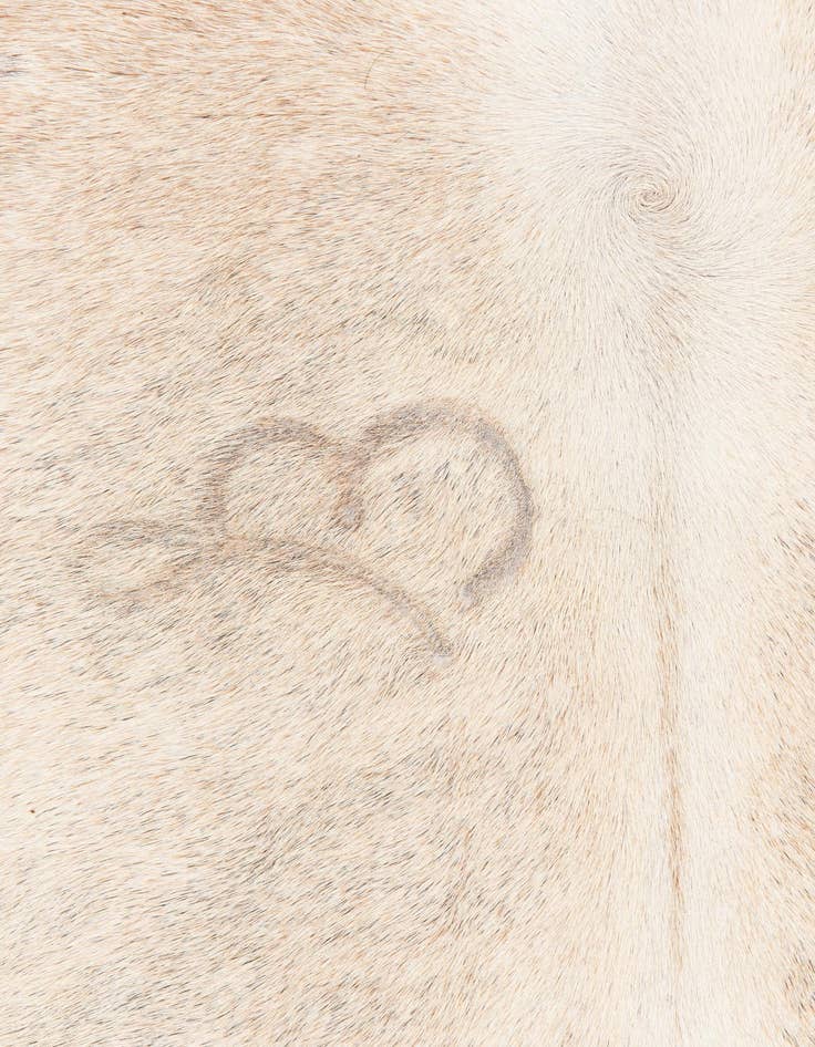 Detail image of 5' 2 x 6' 8 Cowhide Leather Rug