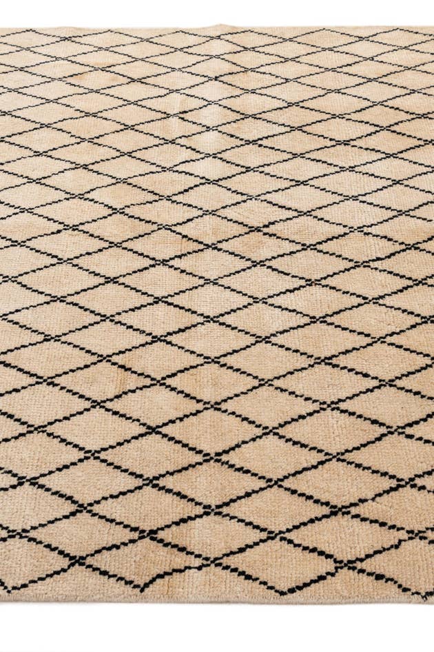 Detail image of 5' 2 x 7' 5 Hand Knotted Darya Wool Rug
