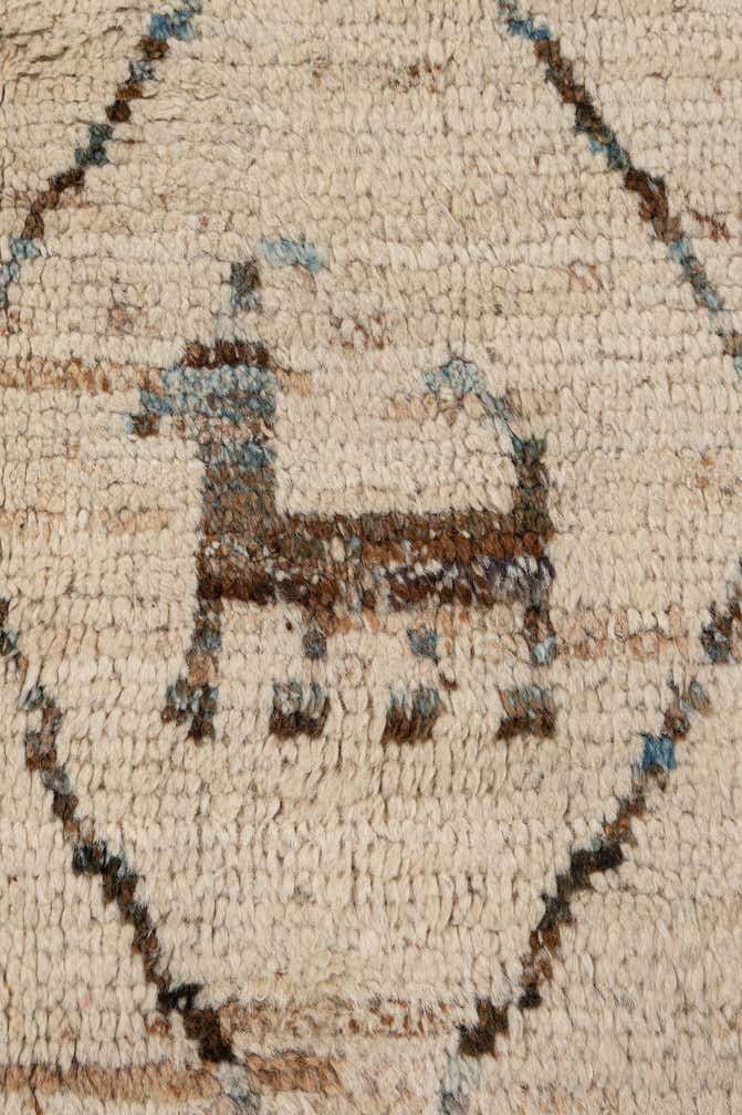 6' 8 x 9' 2 Hand Knotted Darya Wool Rug