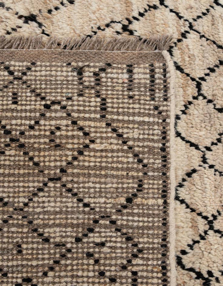 Detail image of 6' 6 x 9' 8  Hand Knotted Darya Wool Rug