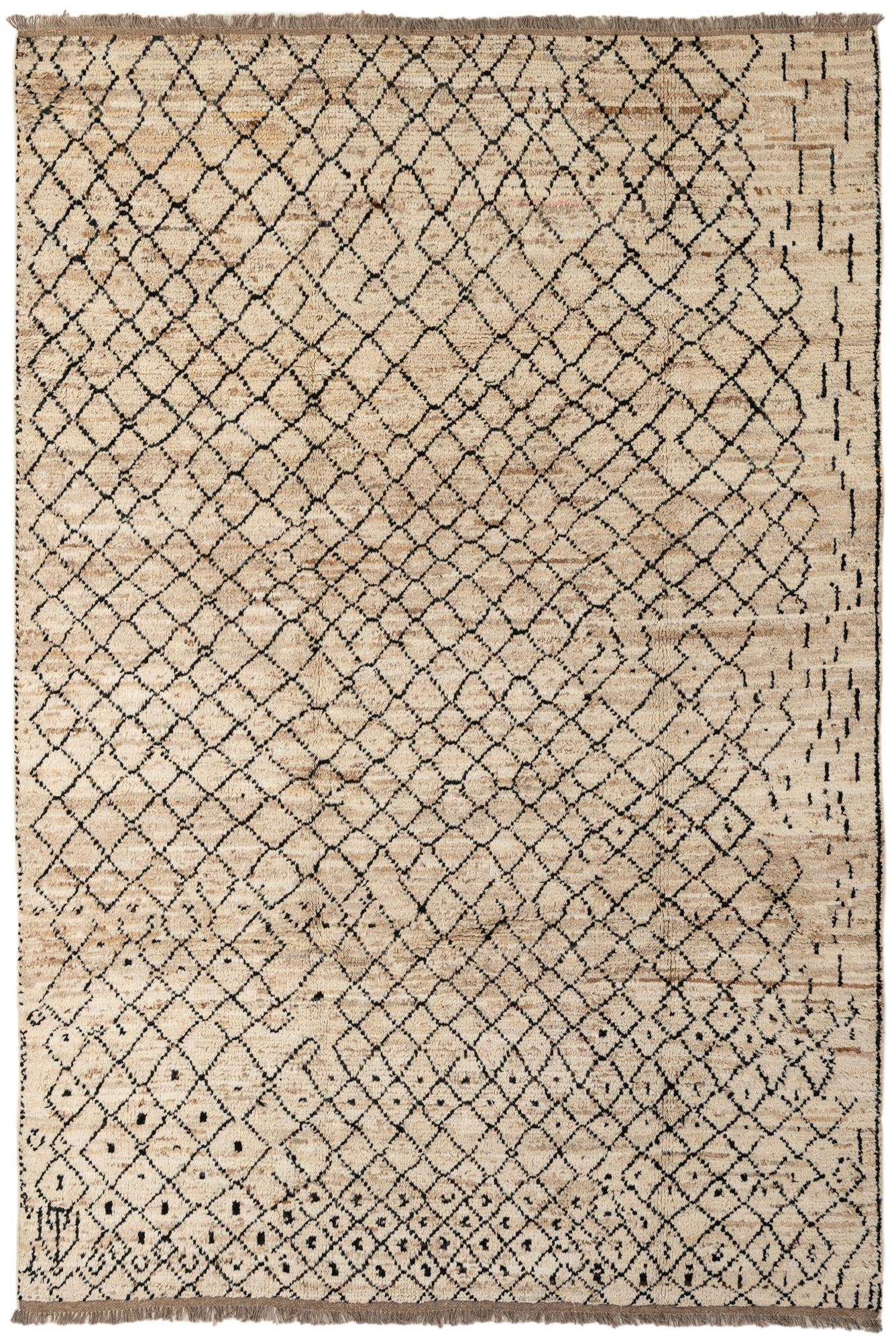 6' 6 x 9' 8 Hand Knotted Darya Wool Rug