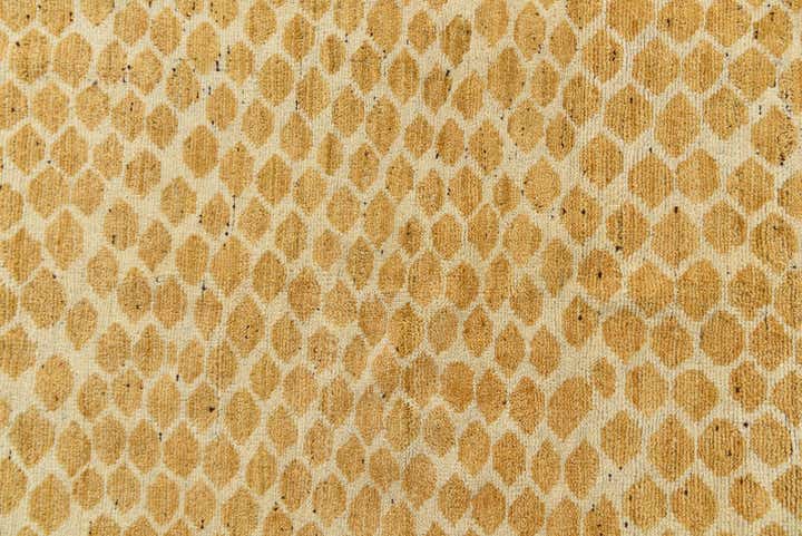 5' 10 x 8' 10 Hand Knotted Darya Wool Rug