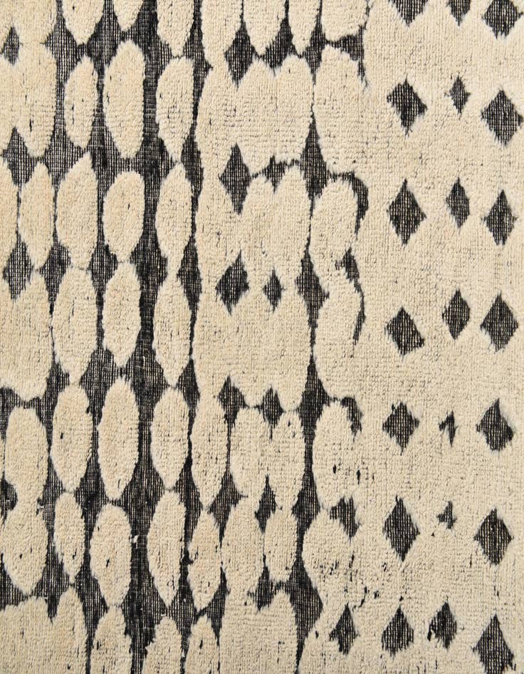 Detail image of 8' 10 x 12' 2 Hand Knotted Darya Wool Rug
