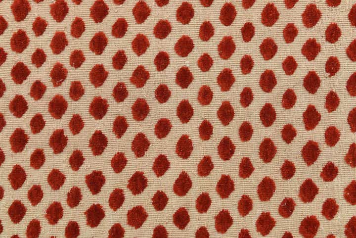 6' 7 x 9' 9 Hand Knotted Darya Wool Rug