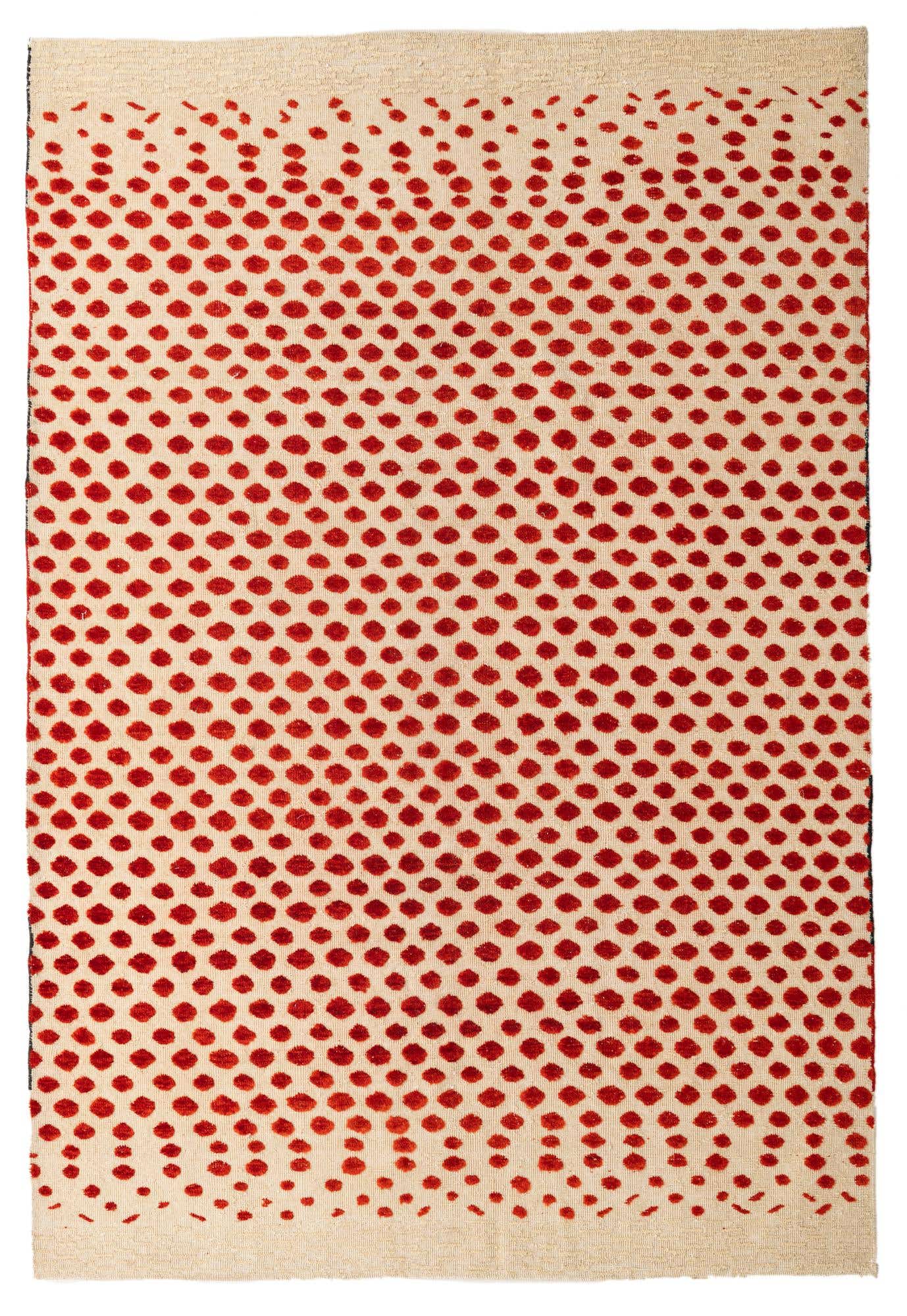 6' 7 x 9' 9 Hand Knotted Darya Wool Rug
