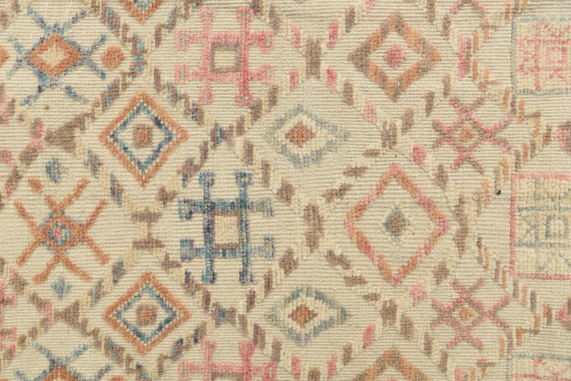8' 10 x 12' 6 Hand Knotted Darya Wool Rug