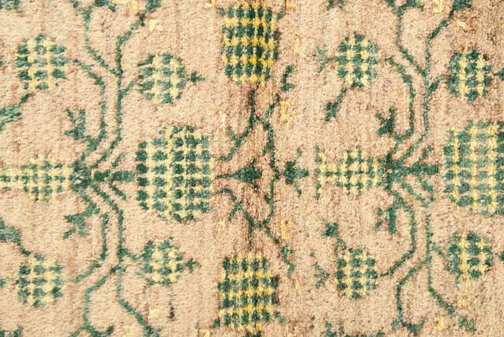 3' 2 x 4' 10 Hand Knotted Darya Rug