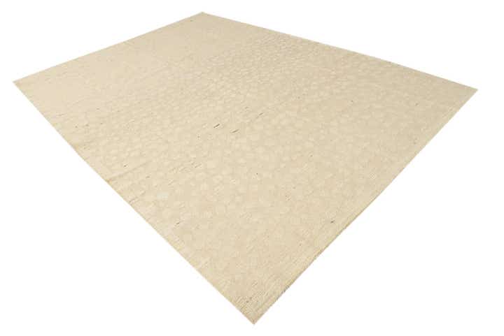 8' 11 x 12' 6 Hand Knotted Darya Wool Rug