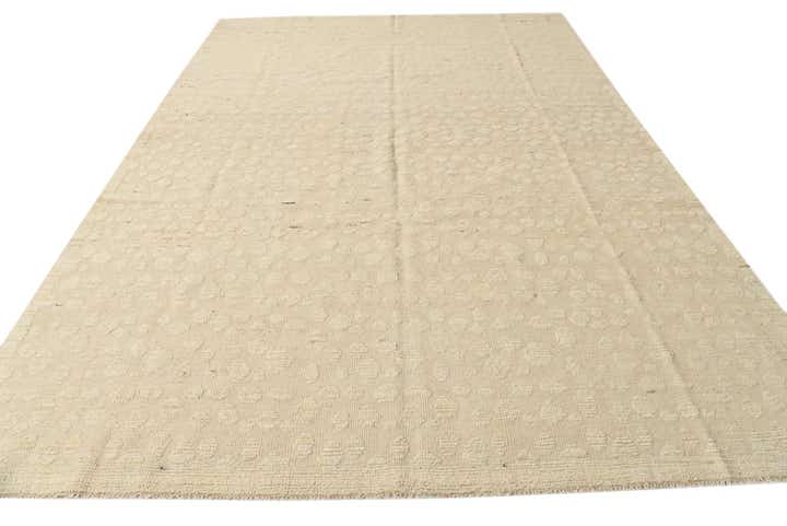 8' 11 x 12' 6 Hand Knotted Darya Wool Rug