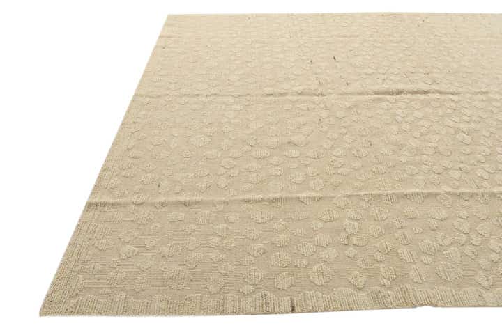 8' 11 x 12' 6 Hand Knotted Darya Wool Rug