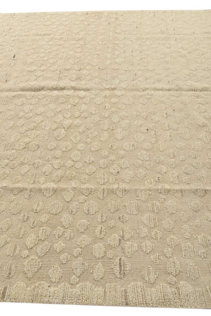 8' 11 x 12' 6 Hand Knotted Darya Wool Rug